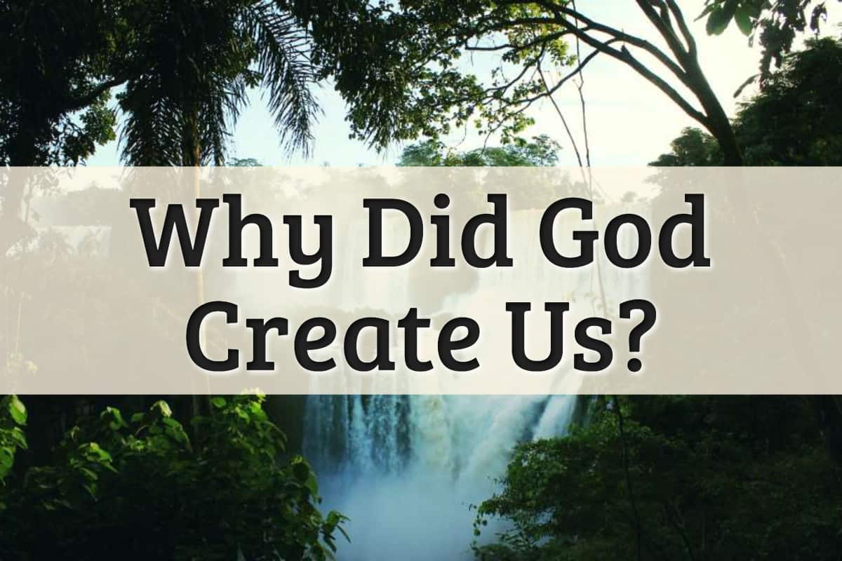 Featured Image - Why Did God Create Us