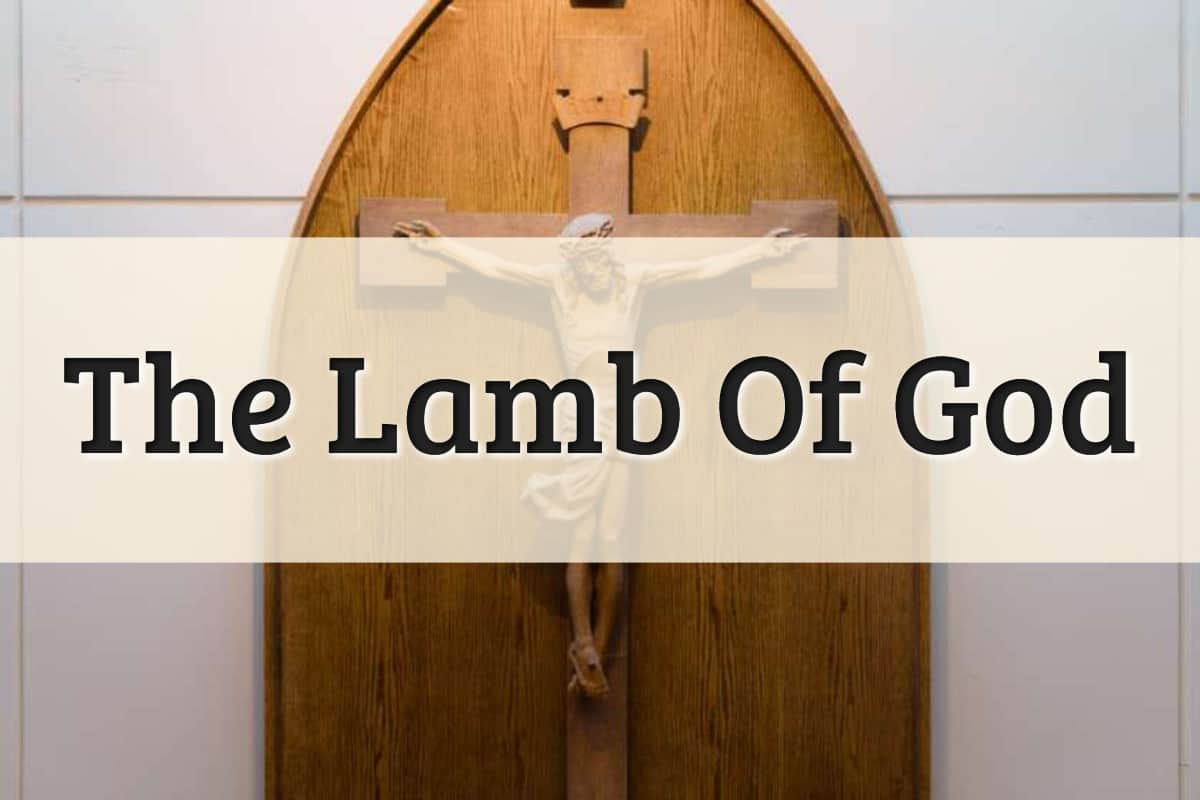 Featured Image - The Lamb Of God