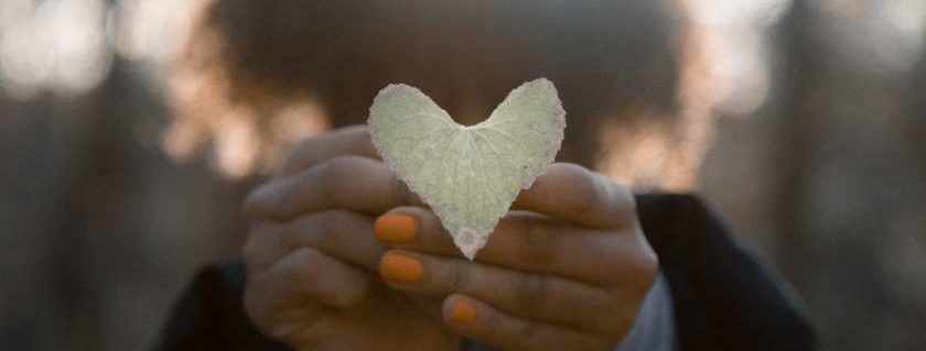 leaf in a heart shape and god loves a cheerful giver