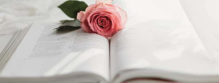 bible with a single pink rose and meaning of 911 in the bible