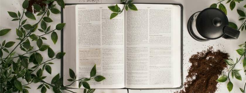 bible with plants and soil and 222 meaning in bible