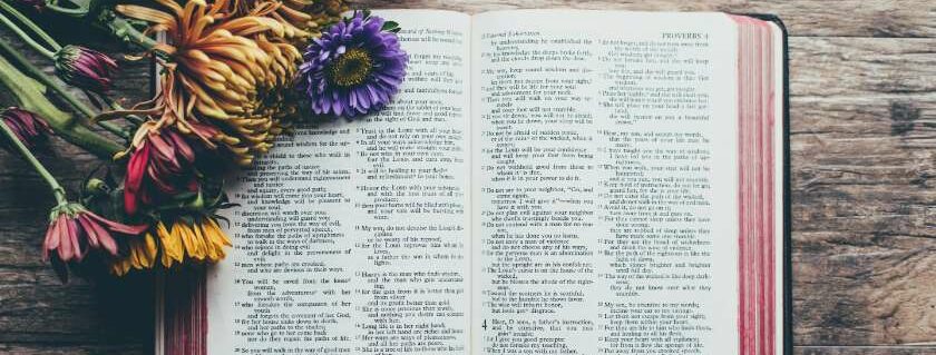 different flowers on bible and 555 meaning bible