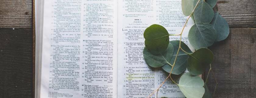 leaves on a bible and 1212 meaning bible