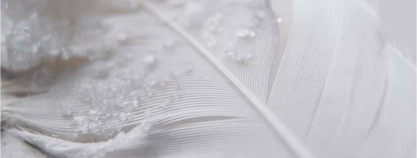 white feather with crystals and white feather meaning in the bible