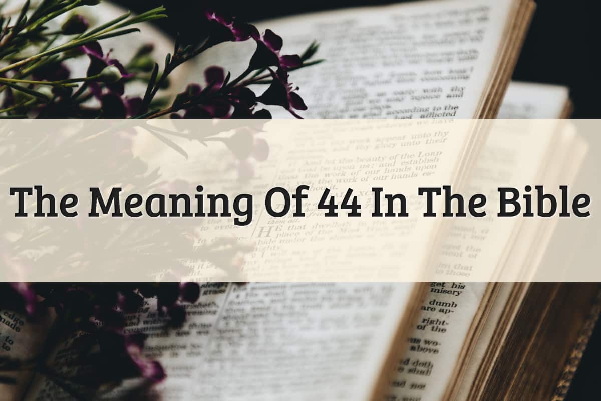Featured Image - 44 Meaning Bible