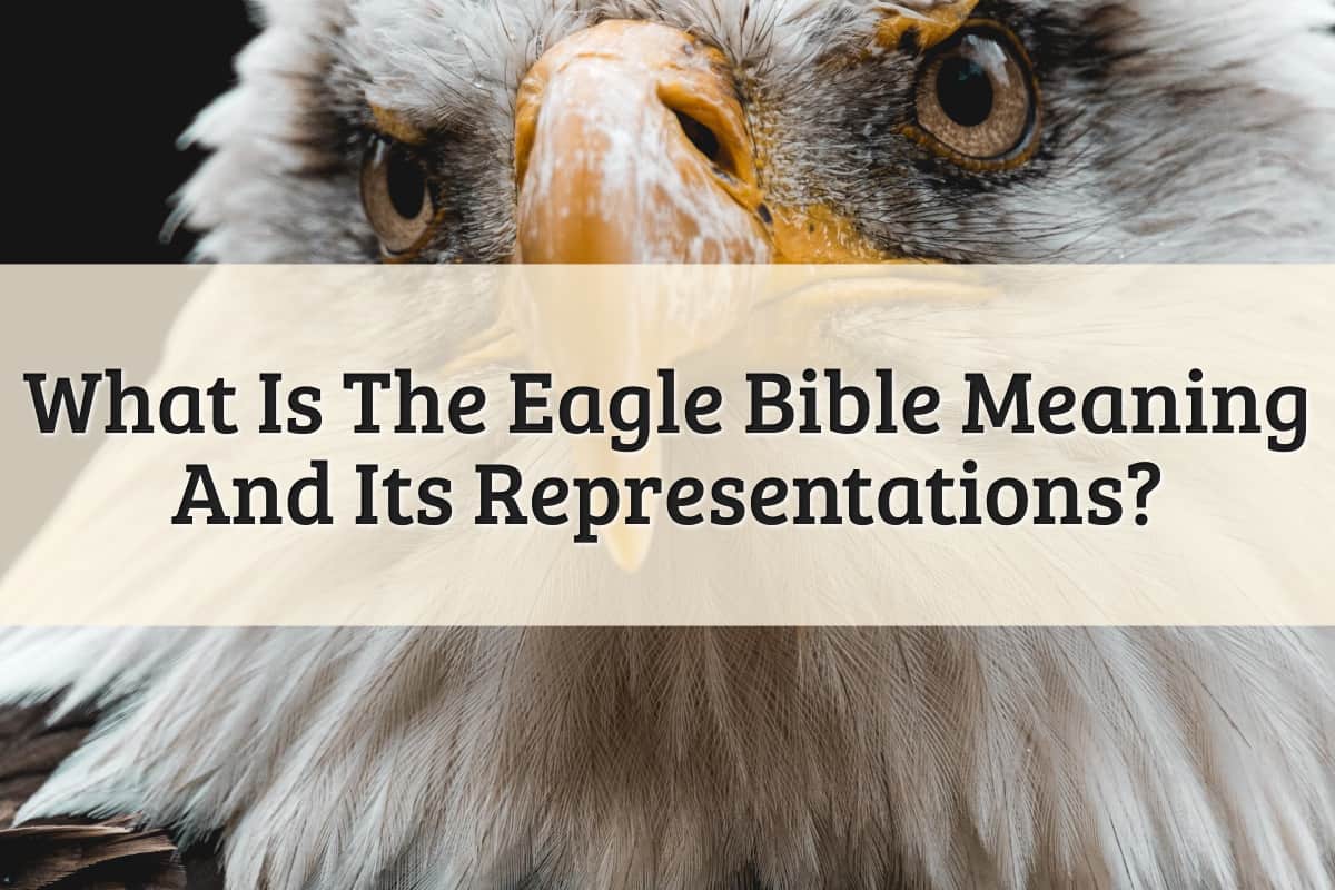 Featured Image - Eagle Bible Meaning