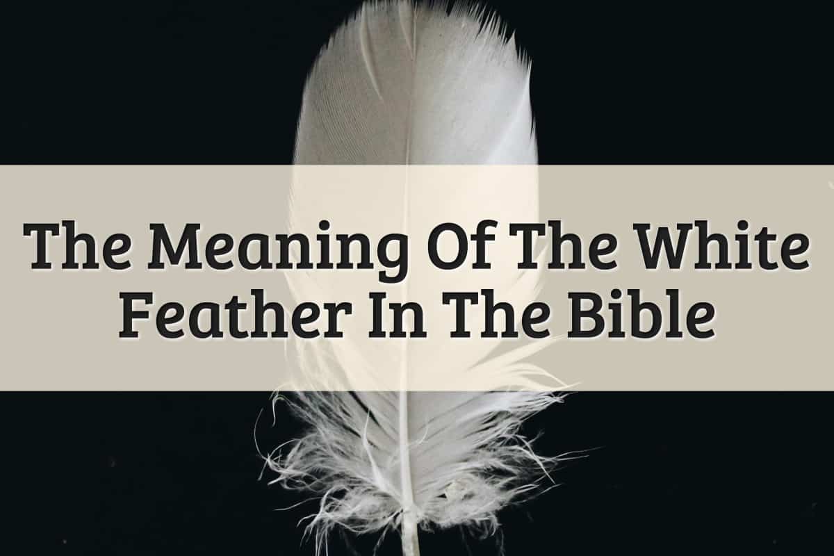 Featured Image - White Feather Meaning In The Bible