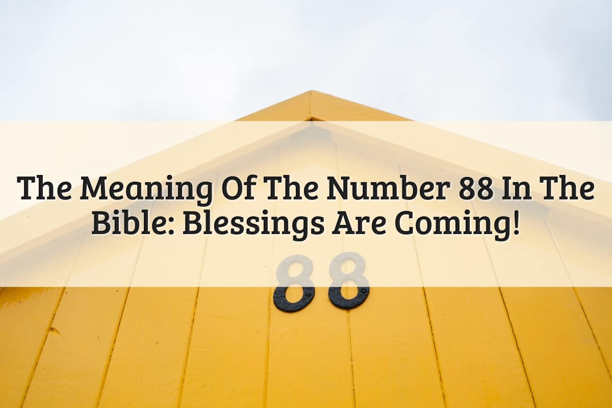 Featured Image - 88 Meaning Bible