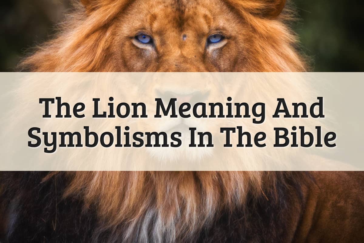 Featured Image - Lion Meaning In The Bible