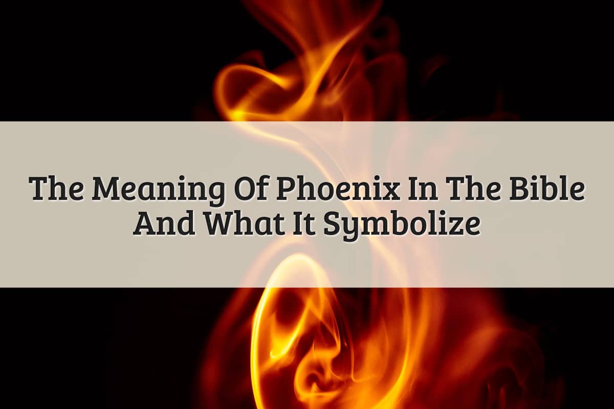 Featured Image - Phoenix Meaning Bible