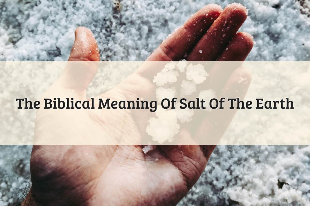 Featured Image - Salt Of The Earth Meaning Bible