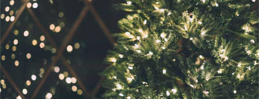 christmas lights on tree and meaning of christmas tree in the bible