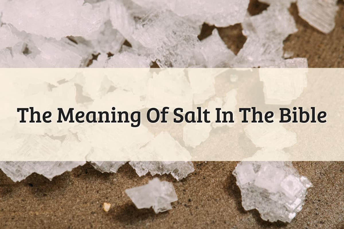 Featured Image - Salt Meaning In The Bible