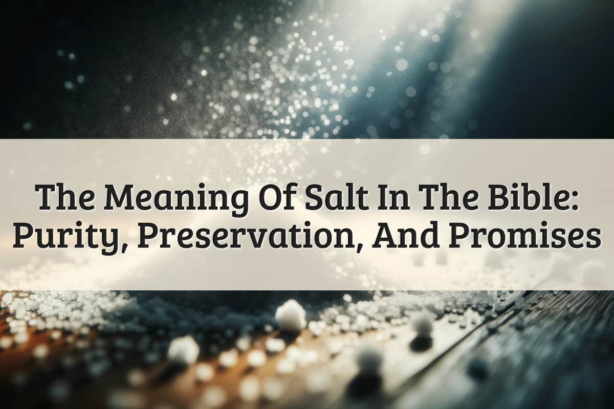 Featured Image - The Meaning Of Salt In The Bible