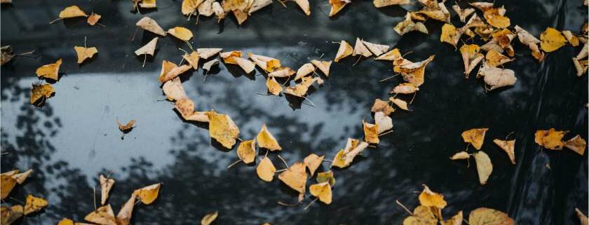 Heart-Shaped Dried Leaves - God Will Give You The Desires Of Your Heart