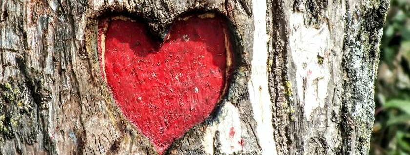 red heart engraved on tree and love god with all your heart