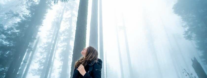 woman looking up with trees and fog around and god is everywhere