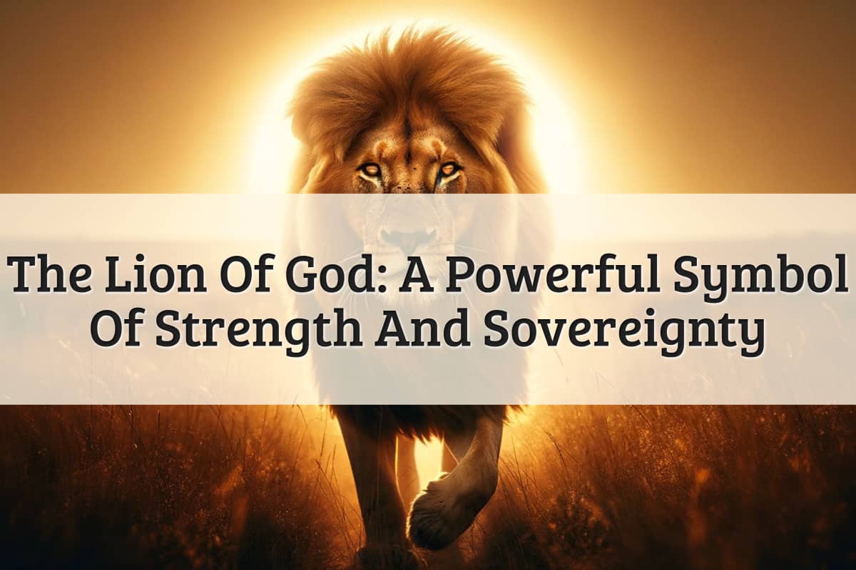 Featured Image-Lion Of God