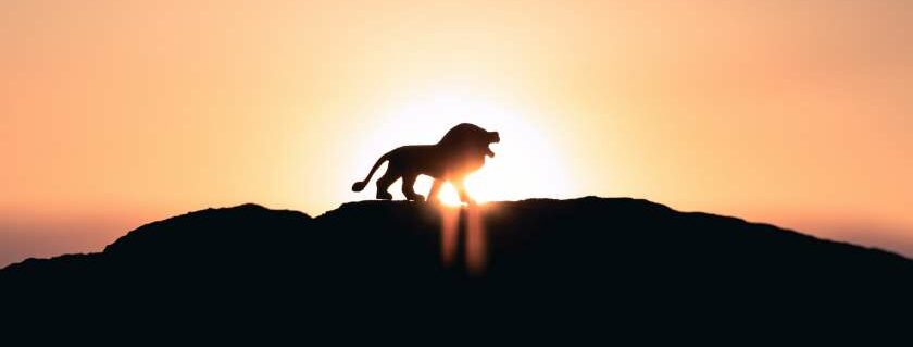 silhouette of a lion on mountain and lion of god