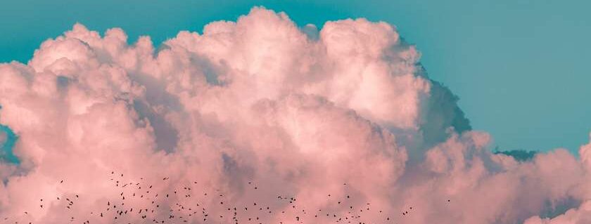 white pink clouds and blue sky with birds
