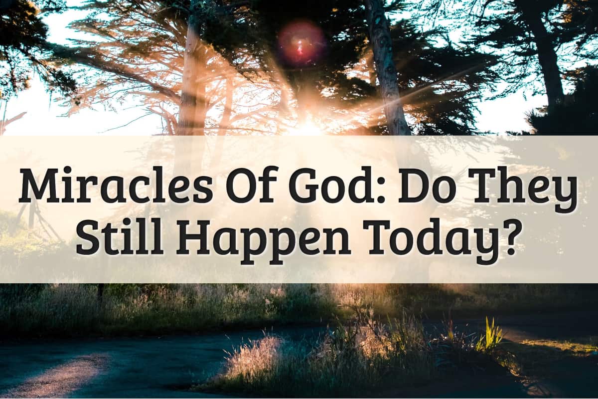 Featured Image - Miracles Of God