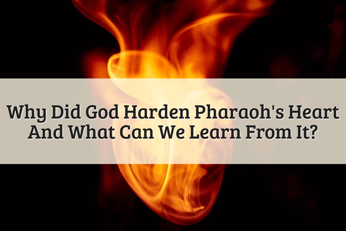 Featured Image - Why Did God Harden Pharaoh's Heart