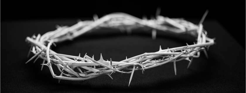 black and white crown of thorns