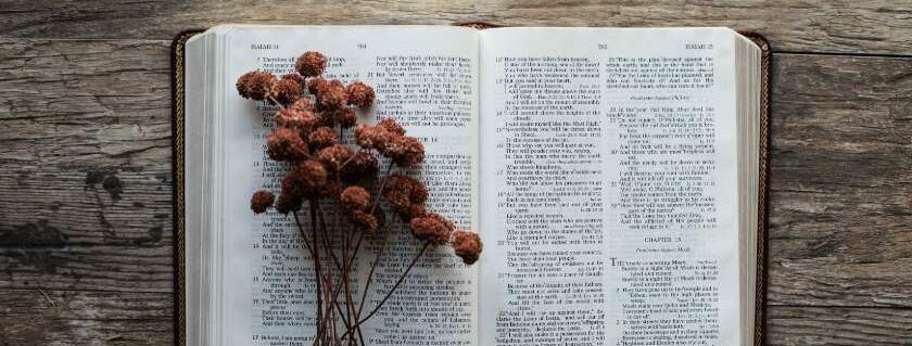 opened bible with brown flowers