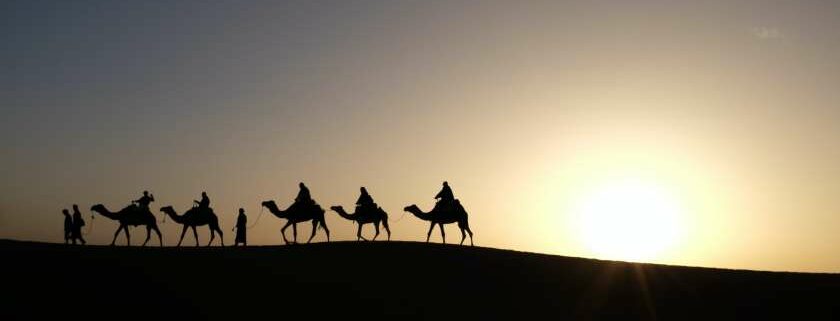 people riding camels silhouette desert sun