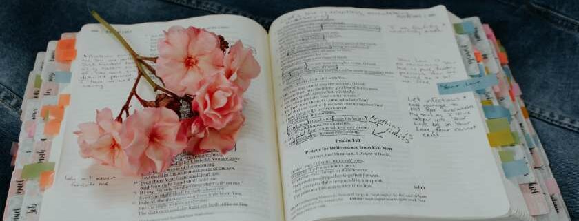 pink flowers on top of open bible