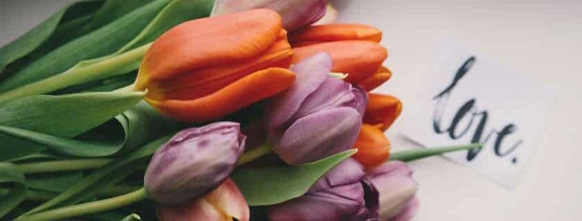 a bouquet of tulips next to the word love