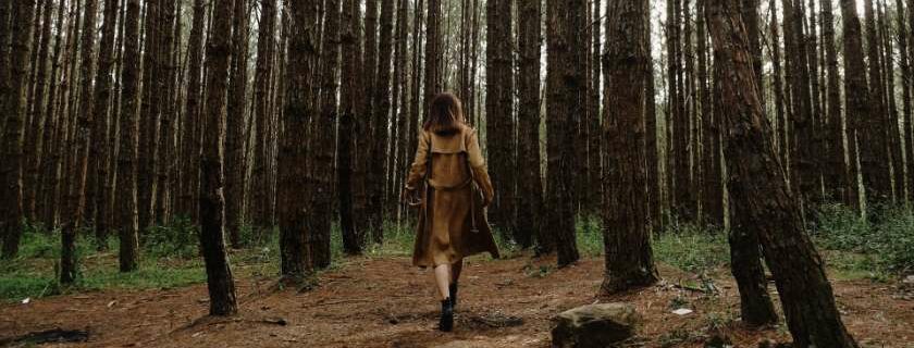 woman in the middle of forest and walk humbly with your god