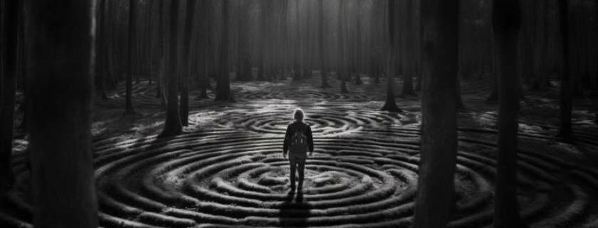 a man standing in the middle of a forest and maze